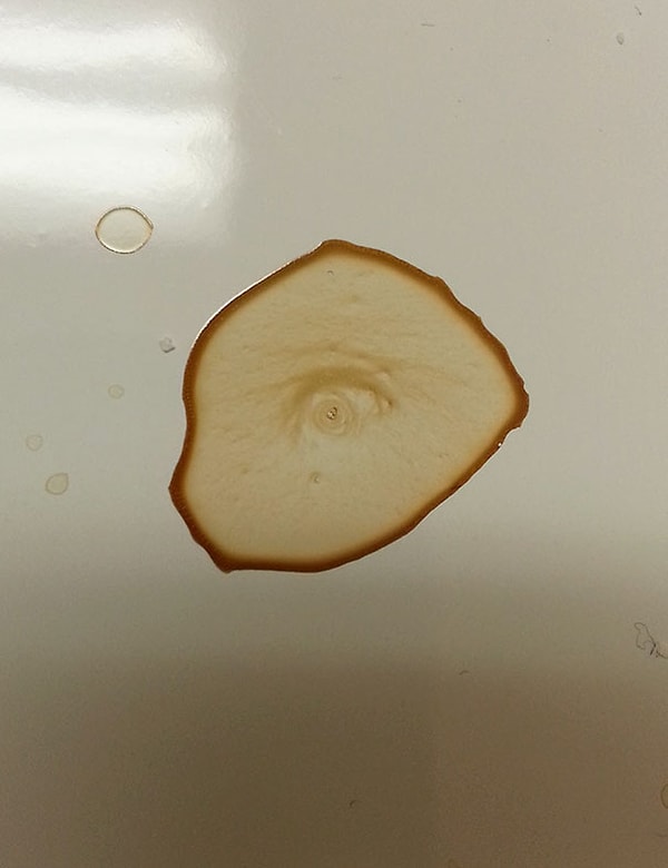 4. "Этот пролившейся кофе смотрит мне в душу"