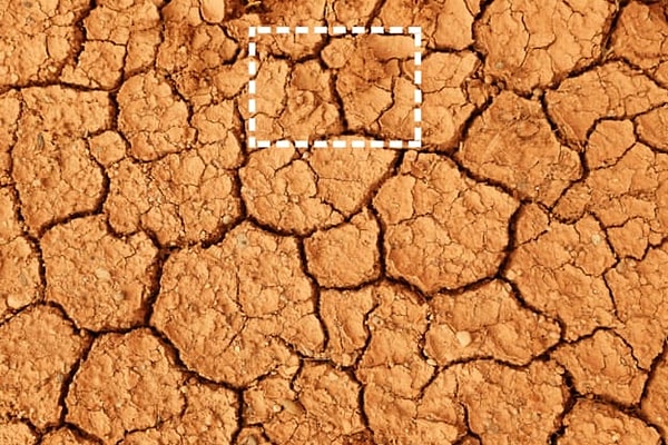 Посмотреть правильный ответ: