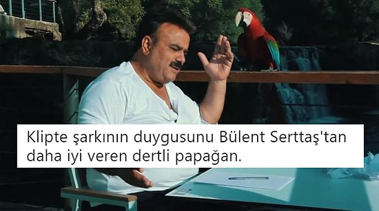 Geride Bıraktığımız Hafta Twitter'da Elden Ele Dolaşan En İyi 17 Videolu Tweet