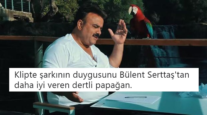 Geride Bıraktığımız Hafta Twitter'da Elden Ele Dolaşan En İyi 17 Videolu Tweet