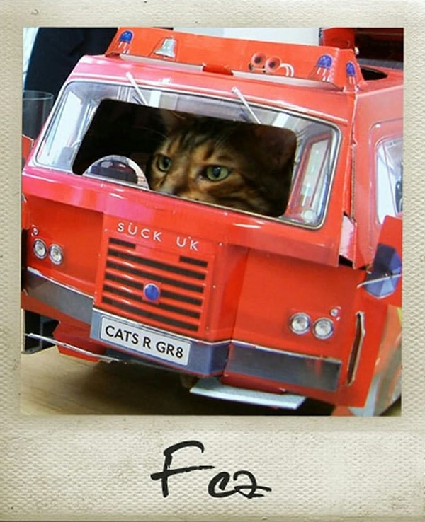 10. Фото для доски почета