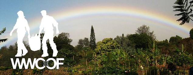 Peki WWOOF nedir? World Wide Opportunities On Organic Farms.