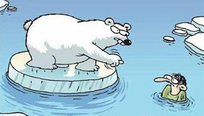 6. Sınıf Ders Kitabındaki Kutup Ayısı Karikatürü Tartışma Yaratmıştı: Tüm 13. Sayfalar İçin İmha Kararı