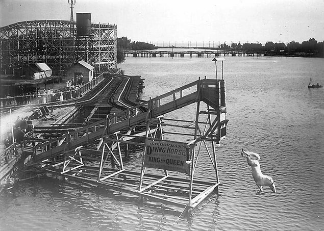 10. Kanada'nın Toronto şehrindeki Hanlan's Point Lunaparkında da atlı dalış popüler bir eğlenceydi, 1907.
