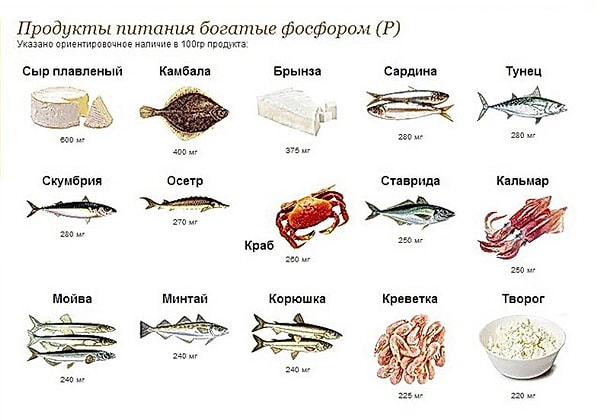 4. Фосфор с кальцием и магнием