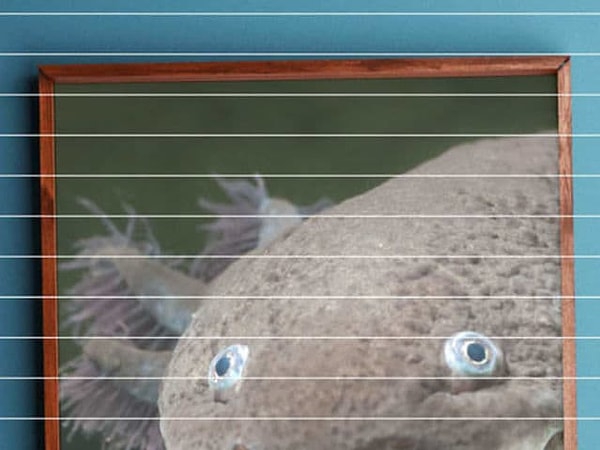 Показать правильный ответ