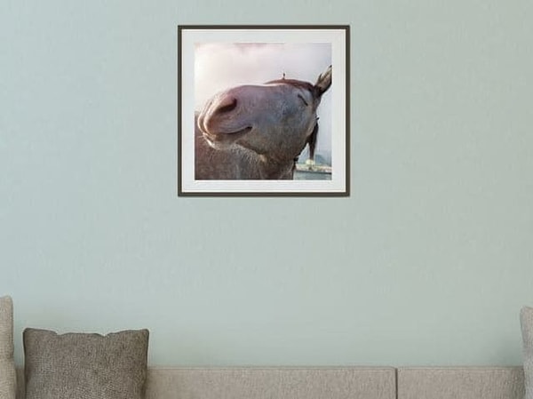 4. Что подсказывает вам ваш глазомер в этом случае?