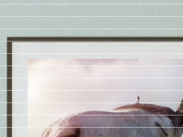 Показать правильный ответ