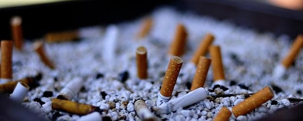 1. В переводе с чешского слово "окурки" (okurky) означает...