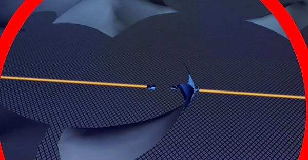 5. Где вы могли видеть этого Микки?