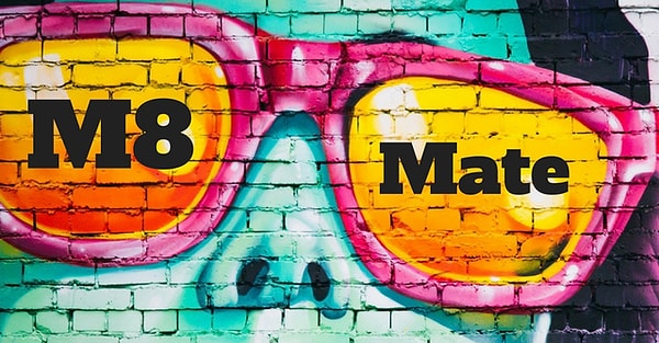 20. M8: "mate" или "товарищ по команде"