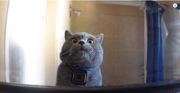 6. Любуется собой...