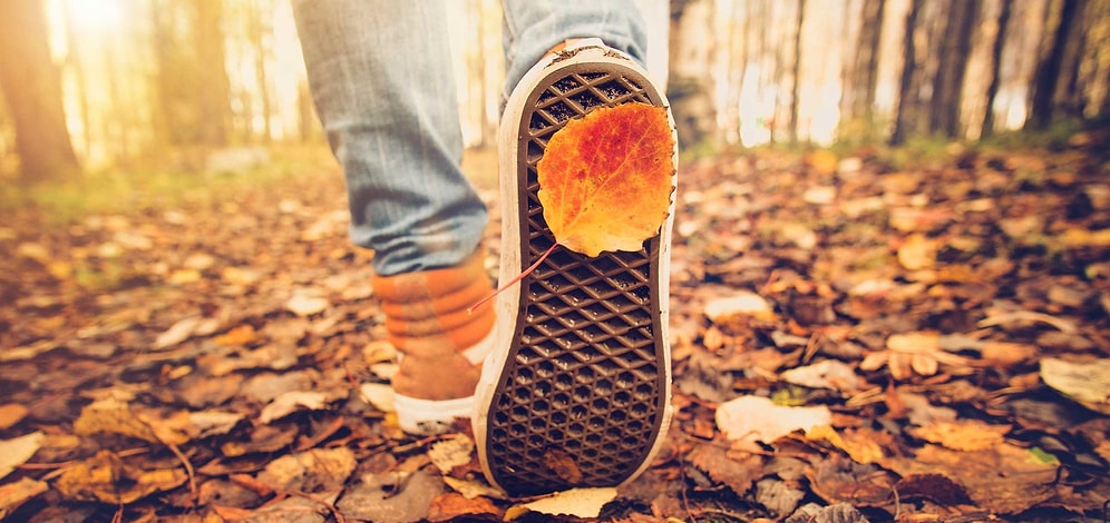 Этот осенний тест подскажет вам, чем заняться в выходные