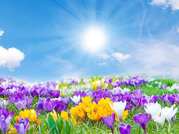 5. Вы знаете, что делать: