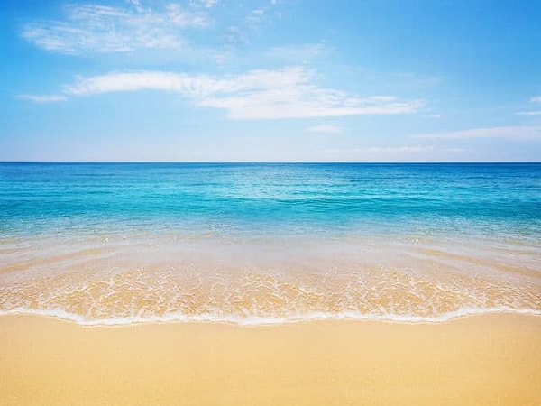 8. Из всех предложенных вы выберите..