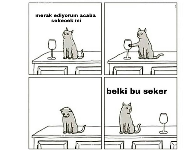 1. Kediler bildiğiniz gibi.