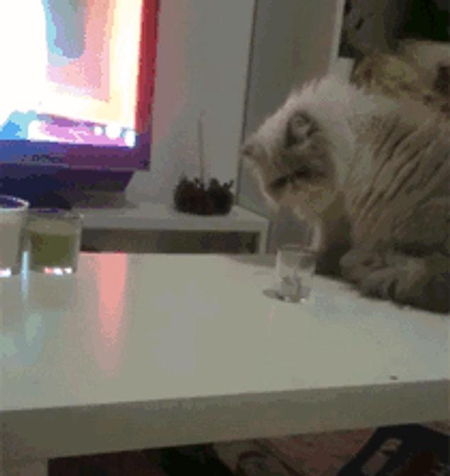 Кошка сбросила с конструкции один кубик. Кот сбрасывает со стола. Кот скидывает со стола. Кот смахивает со стола. Кот уронил со стола.