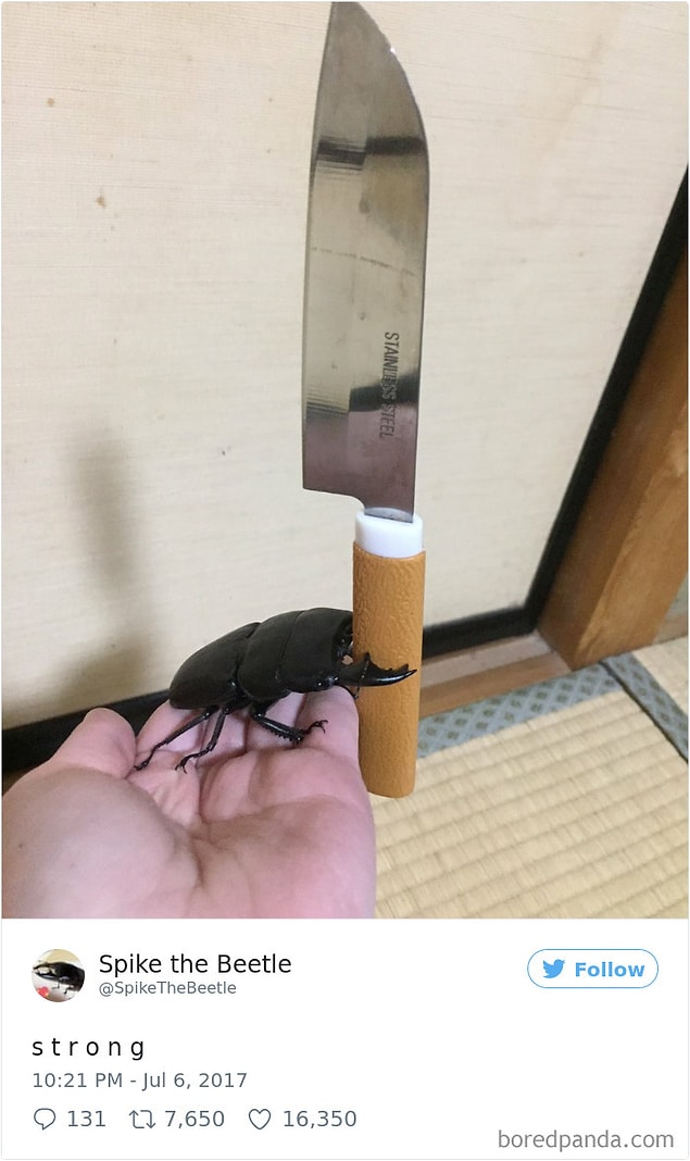 5.