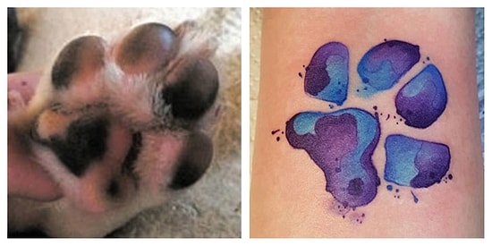 Тату в виде отпечатка лапы своей собаки - новый тренд для любителей четвероногих 🐶