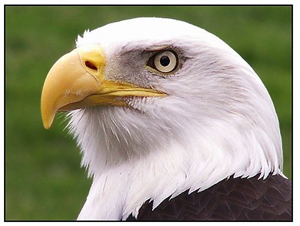 У вас потрясающе развита зрительная память!