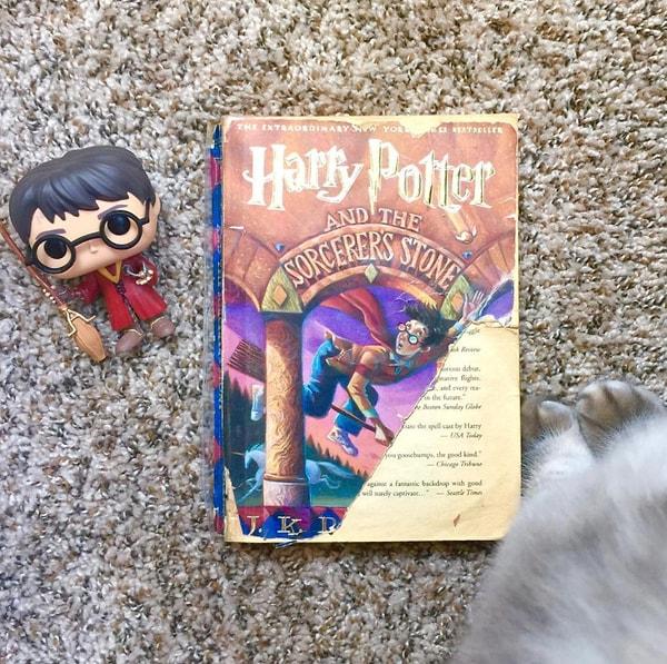 19. Harry Potter kitaplarını böyle görmek istemiyoruz...