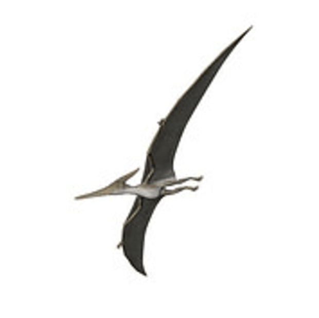 Pterodactyl