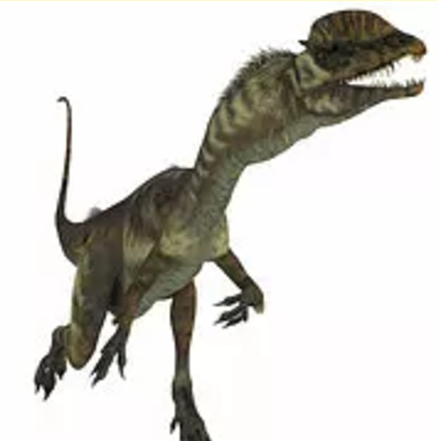 Dilophosaurus