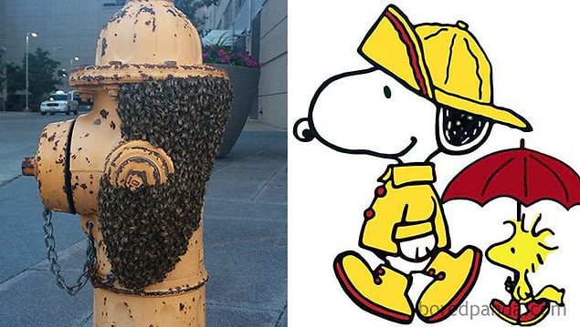 12. Başına buyruk, şirin karakter Snoopy...