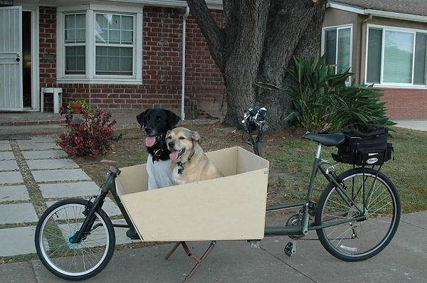 2. Видимо, нежные лапки этих собачек не должны касаться асфальта 😉