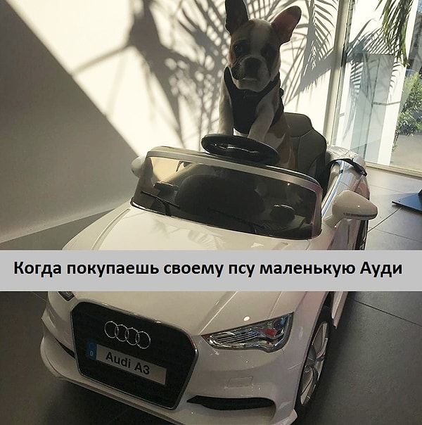 6. А права ему тоже купили? 😆