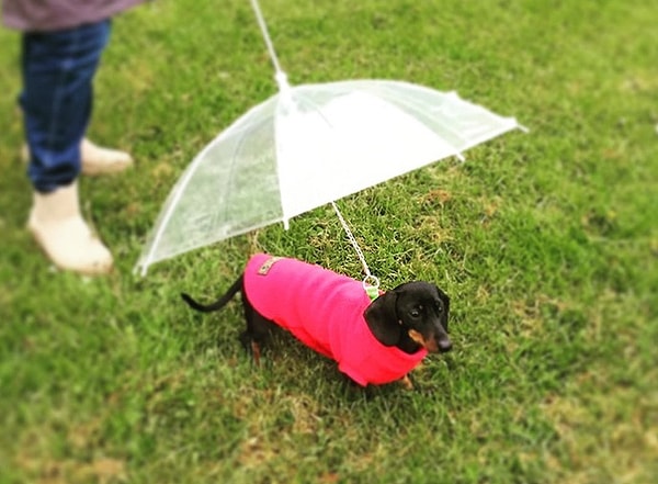 9. Гениально!