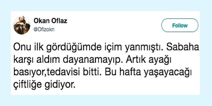 İnsanlığın Daha Ölmediğini Gösteren Tek Paylaşım Üzerinden Sıcak Bir Hikaye