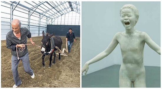 İstanbul Bienali'ndeki Eşek ve Fil Dişinden Heykel Tartışma Yarattı: İyi Bir Komşu Hayvan Düşmanı Olabilir mi?