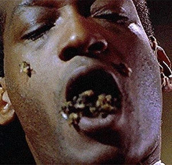 4. Şeker Adamın Laneti'nde, oyuncu Tony Todd bir sahnede ağzını gerçek arılarla doldurdu.