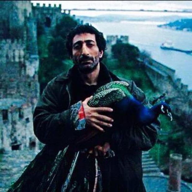 Tabutta Rövaşata