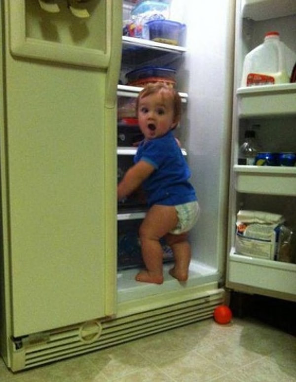 14. Самый милый воришка всех времен 😍