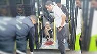 Çarptığı Köpeği, İtirazlara Rağmen Otobüse Alıp Tedavisi İçin Yetkililere Teslim Eden Şoför