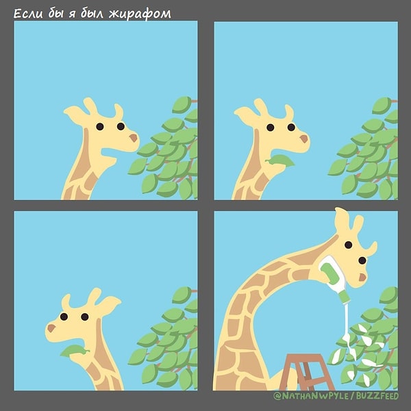 3. Все мы немного этот жираф