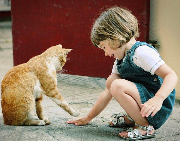 1. Öncelikle eğer çocukluğunuzdan beri hayvanlarla ilişkiniz iyiyse bilirsiniz ki, bu görüp görebileceğiniz en saf sevgidir.