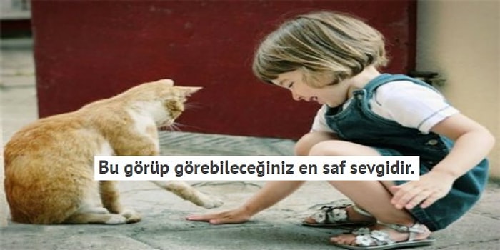 En Yakın Arkadaşlarımızın Hayvanlar Olduğuna Dair 15 Kanıt