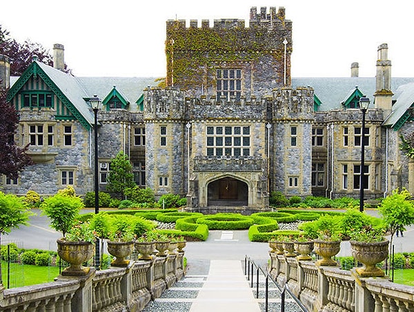 7. Что бы вы съели прямо сейчас?