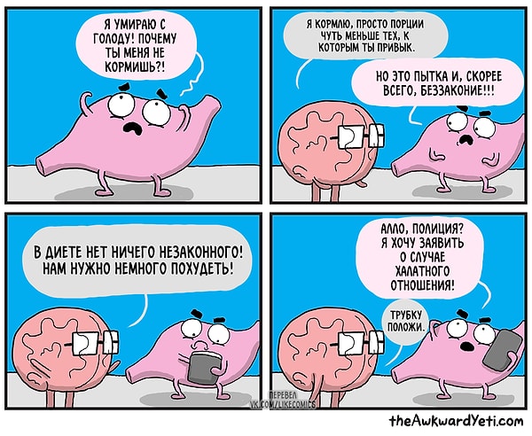 14. Типичная диета