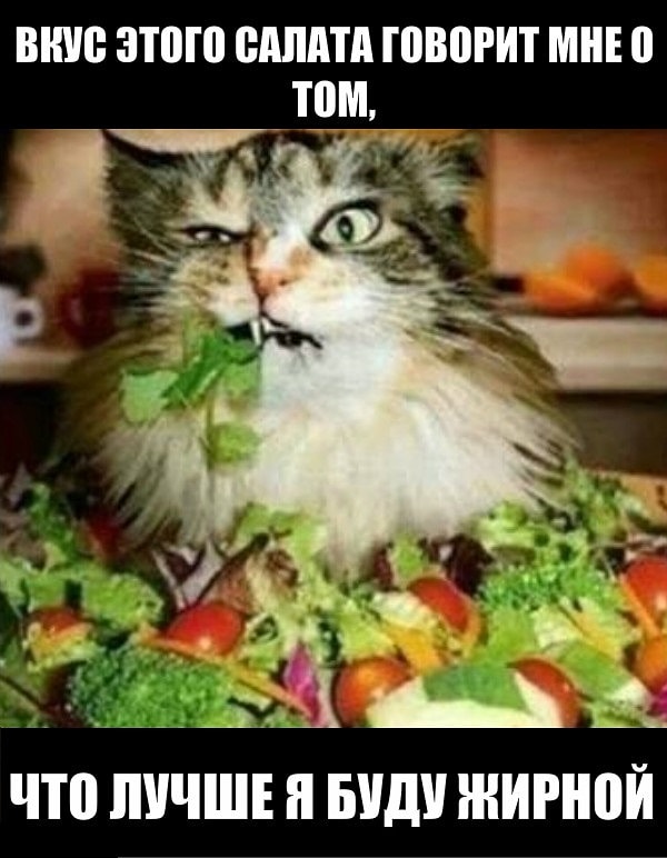 5. Мой девиз по жизни