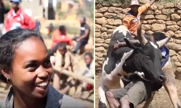 Eş Bulabilmek İçin Boğalarla Güreşen Madagaskar Erkekleri