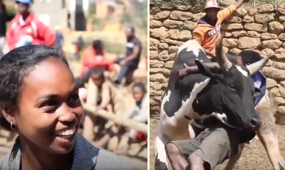 Eş Bulabilmek İçin Boğalarla Güreşen Madagaskar Erkekleri