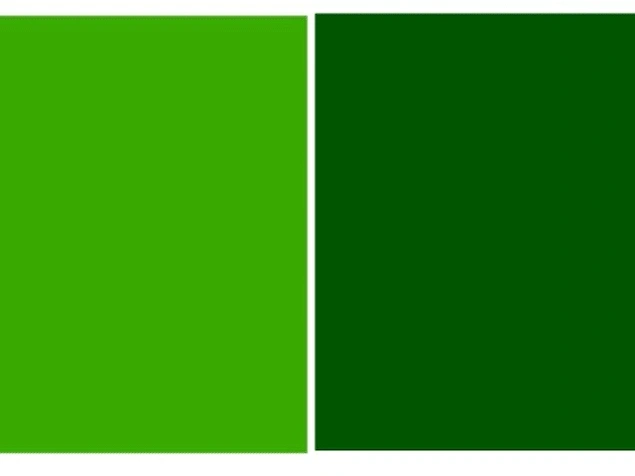 Оно зеленое. Green longer цвет. Vs зеленый. Dark Green Color code. Зелёный vs жолтый.