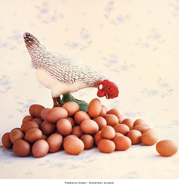 Главным источником вдохновения художницы стал журнал «Туалетная бумага».