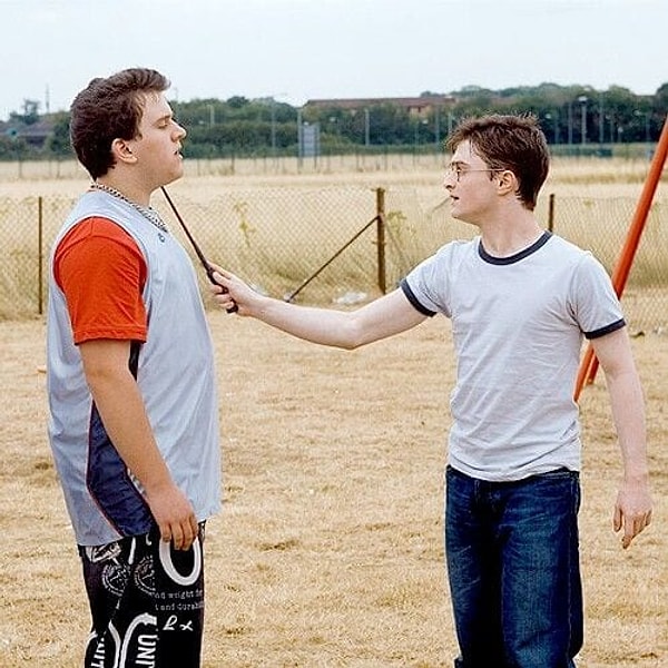 12. Гарри и Дадли не ненавидят друг друга, но и не являются лучшими друзьями