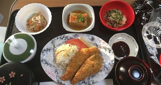 Женщина, родившая ребенка в Японии, показала, чем ее кормили в тамошней больнице