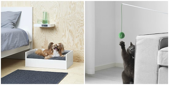 IKEA наконец стала делать мебель для питомцев, и все любители животных в полном восторге!